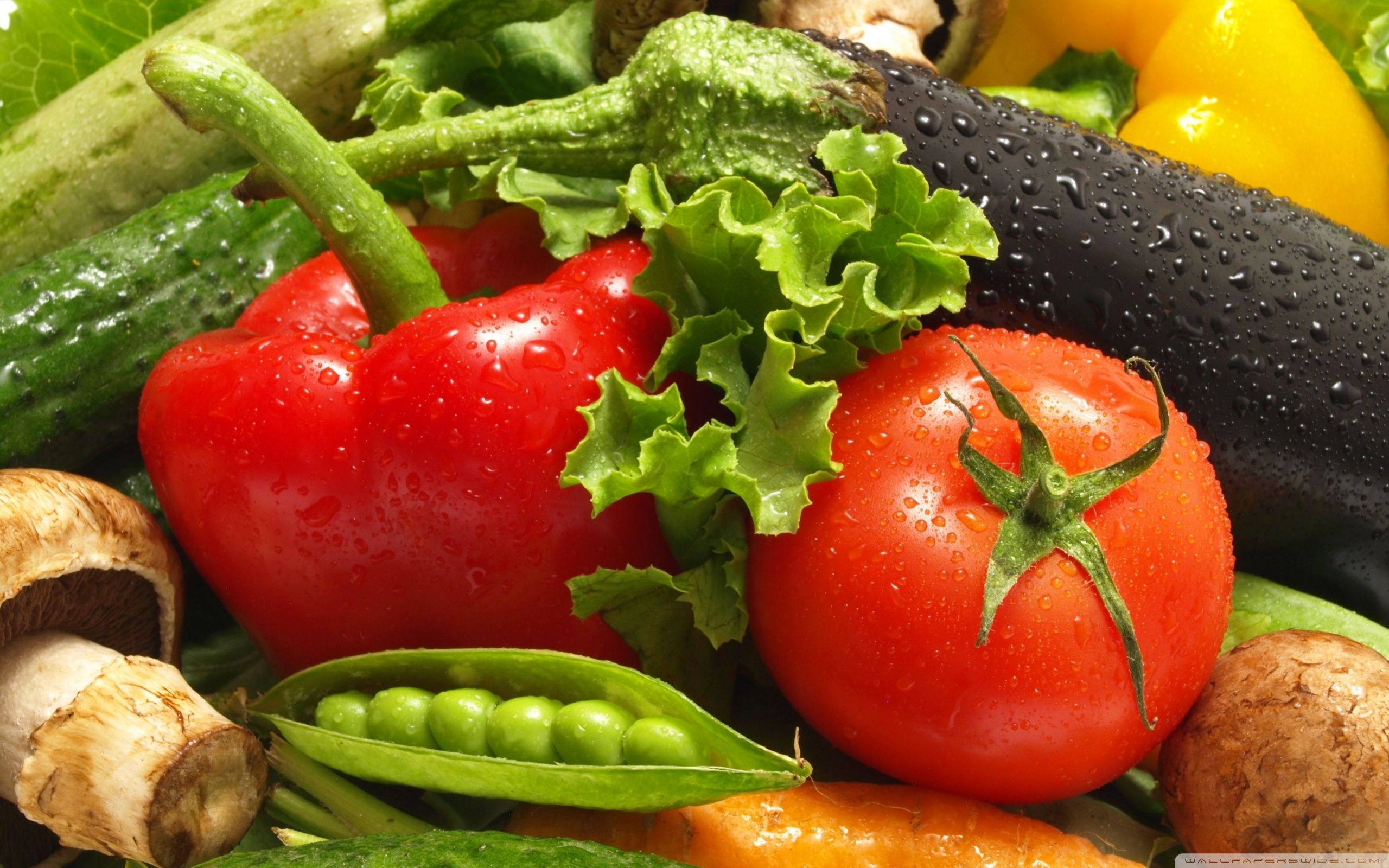 生鲜蔬菜配送管理系统开发方案
